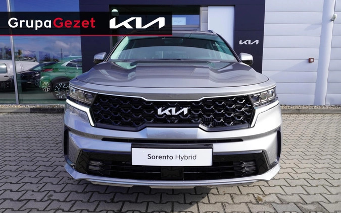 Kia Sorento cena 239900 przebieg: 5, rok produkcji 2024 z Ujazd małe 46